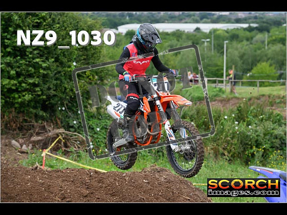 IntersGreen-045