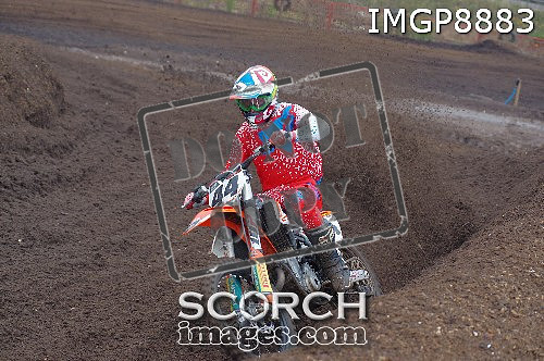 IMGP8883