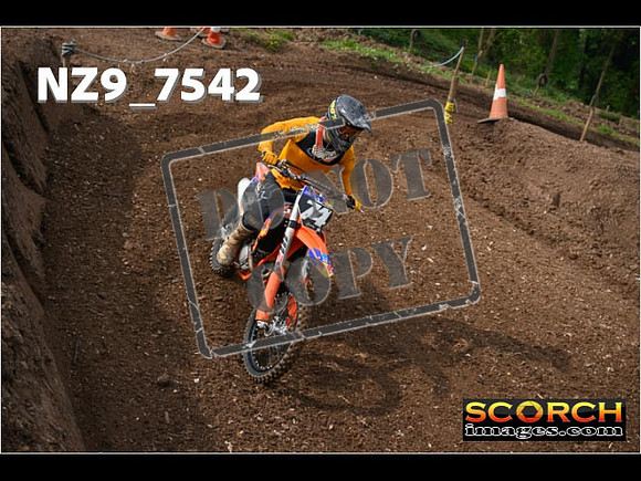 Experts-056