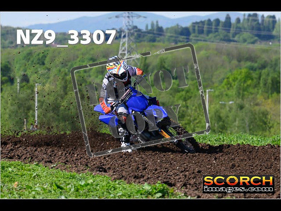 Experts-009
