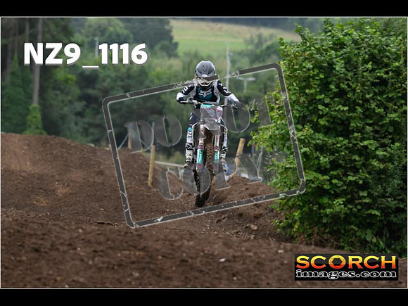 Experts-068
