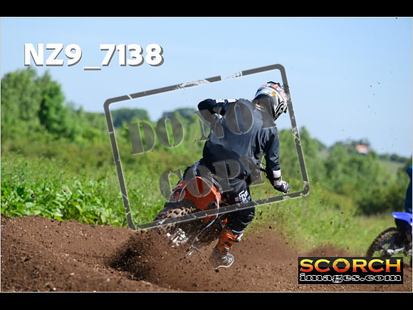 Experts-113