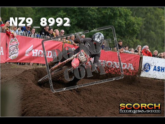 MX2-139