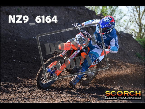 Experts-079