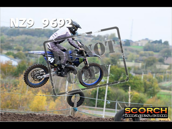 Experts-110