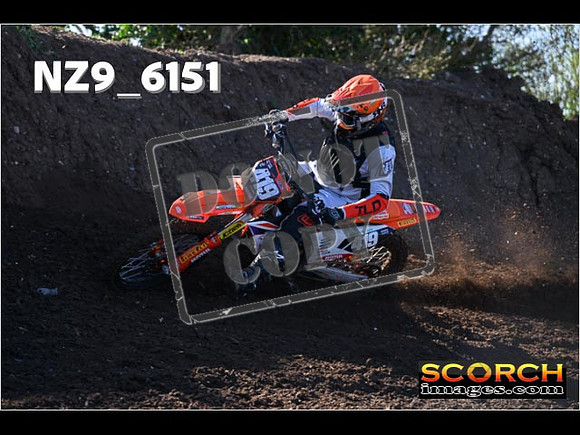 Experts-066