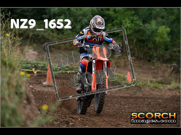 IntersGreenOrange-058