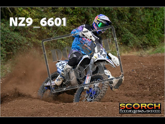 Experts-306