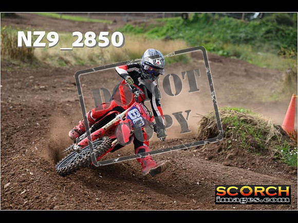 Experts-068