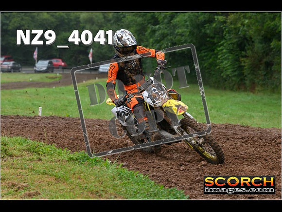 Experts-115