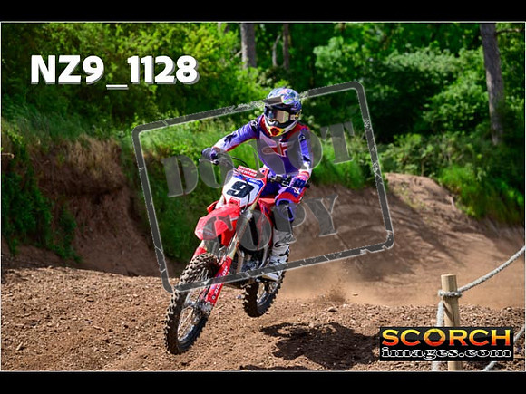 Experts-151