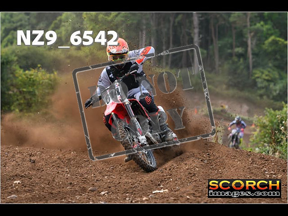 Experts-251