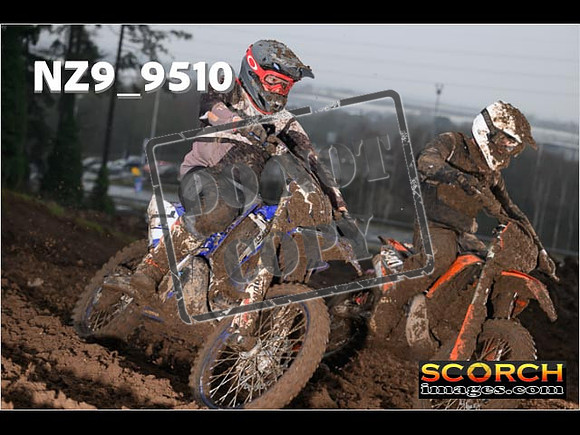 Experts-134