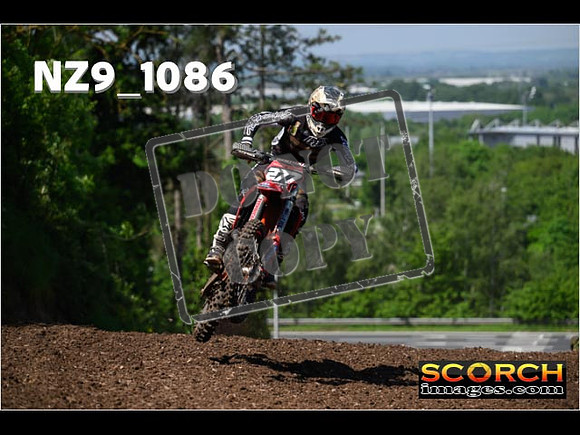Experts-162