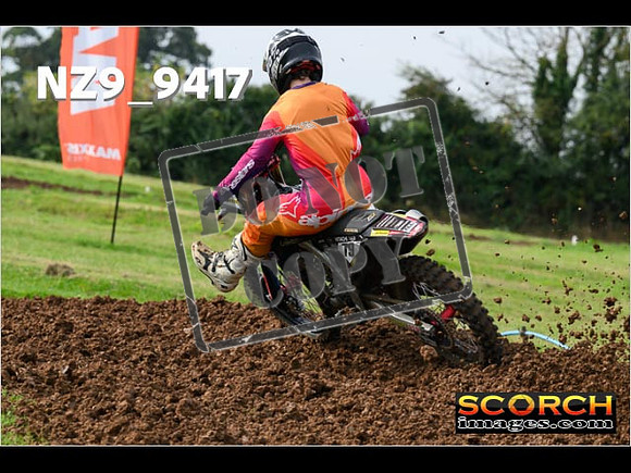 Experts-084