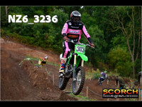 Experts-015