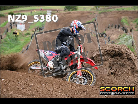 Experts-156