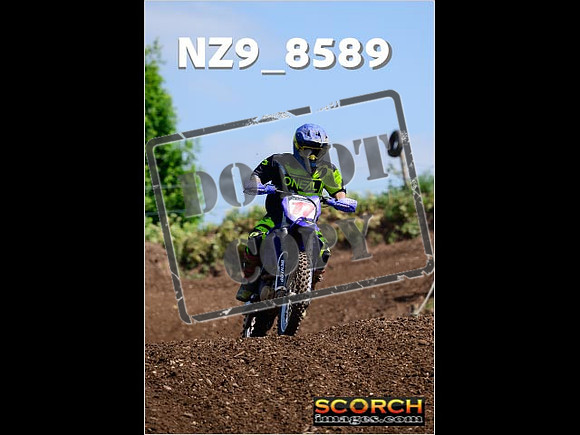 IntersGreenOrange-255