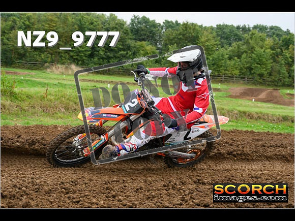 Novice-164