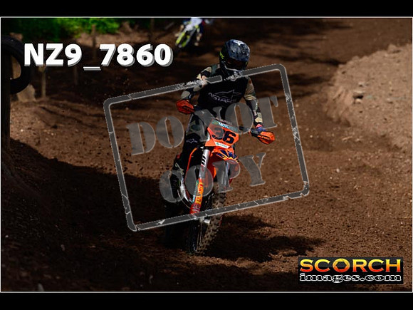 IntersGreenOrange-063
