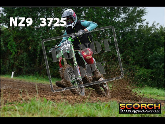 Experts-045