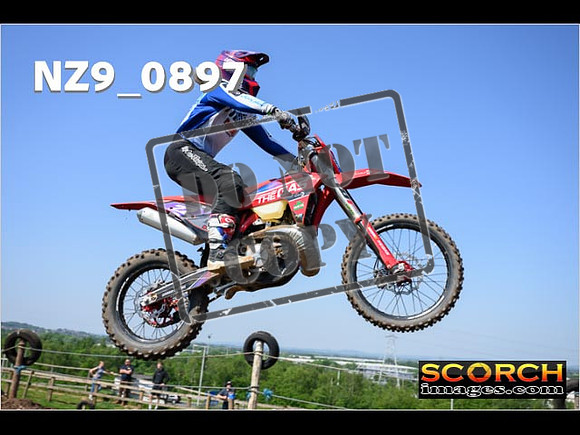 Inters Green-044
