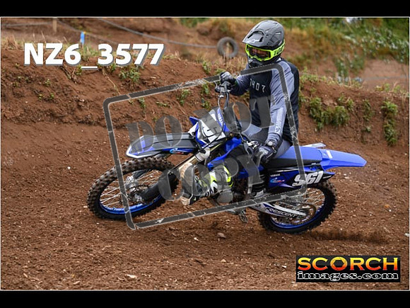 IntersGreen-096