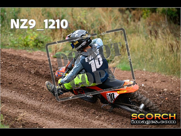 Experts-089