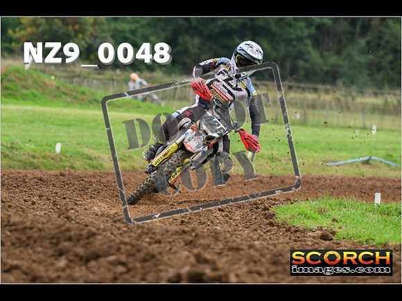 Novice-221