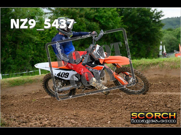 Experts-368