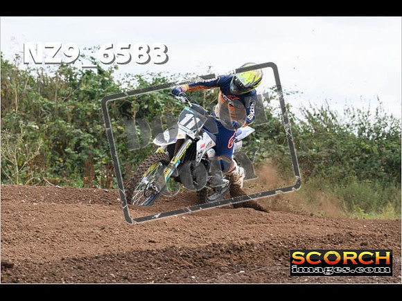 Experts-290
