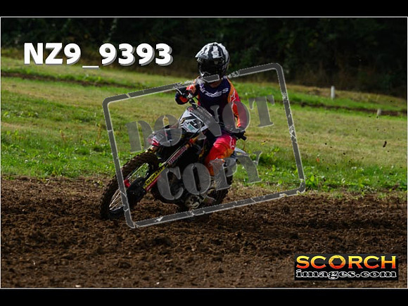 Experts-061