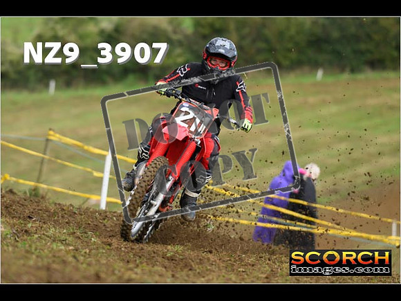 Experts-096