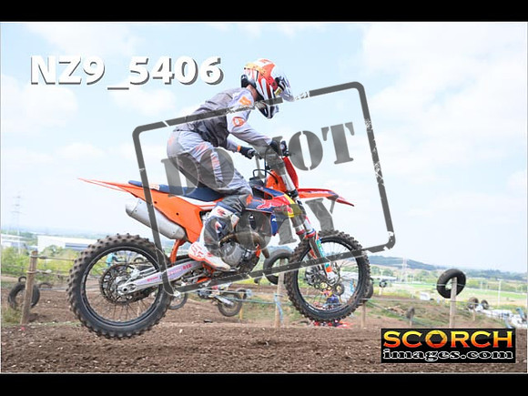 InterGreenOrange-258