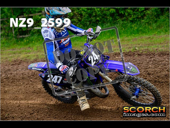 Experts-097
