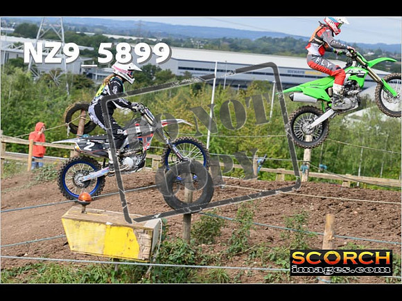 IntersGreen-088