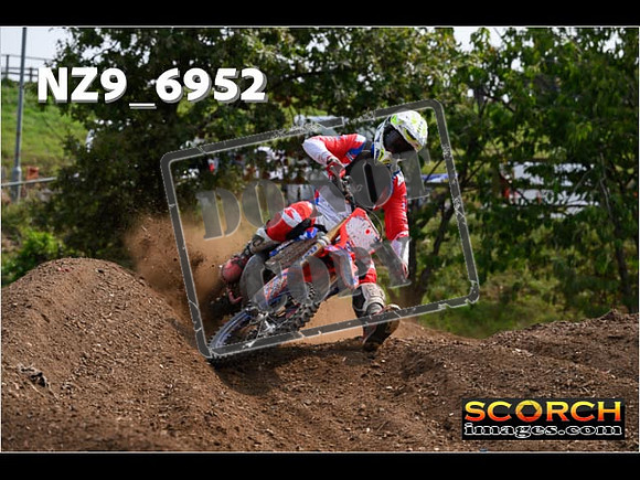 Experts-350