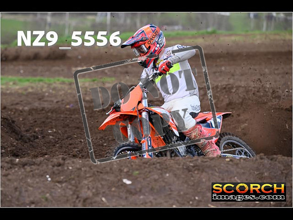 Experts-065