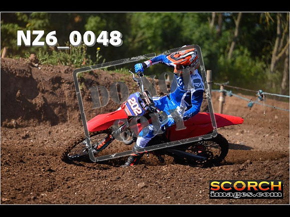 Experts-044