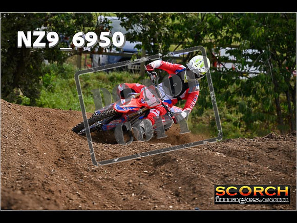 Experts-348