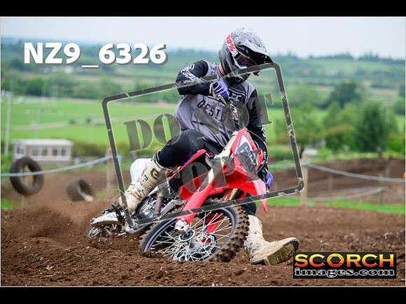 Experts-079