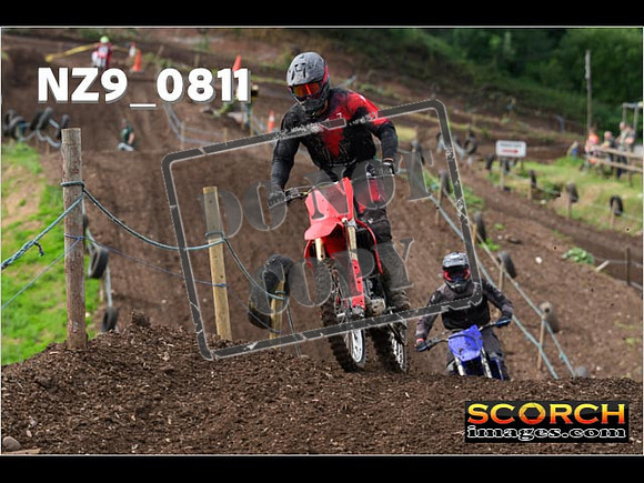 Experts-079