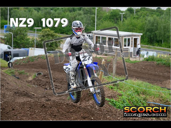 IntersGreen-094