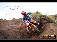 Experts-019