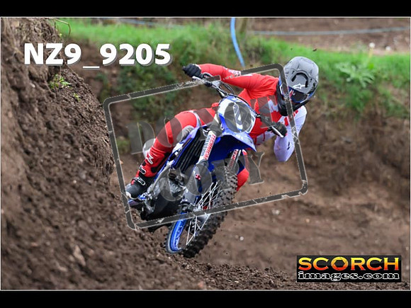 Experts-014