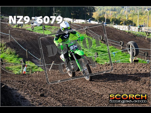 Experts-121