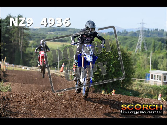 Experts-019