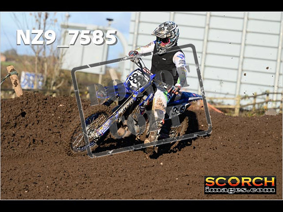 Experts-119