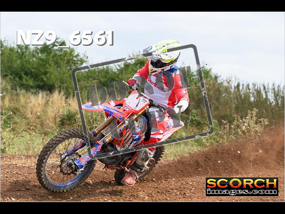 Experts-270