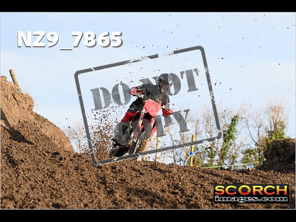 Experts-081